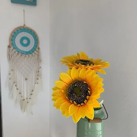 アパート Casa Piquel コラレホ